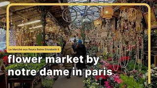 MUST_SEE Flower Market in Paris &ndash; Right by Notre-Dame | 4K Paris, France 🇫🇷