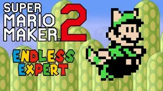 Super Mario Maker 2 Endless Expert - 41,066 Clears | 7th Worldwide ⚡ Vertical Live Stream