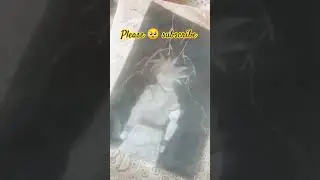 goku drawing with charcoal powder