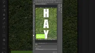 Photoshop Mastery: Blending for Realistic Textures