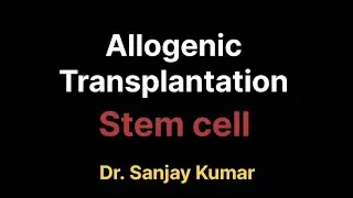 Allogenic Transplantation. Stem cell