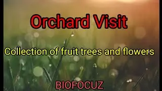 Orchard visit/ Plants with their scientific name/ BIOFOCUZ