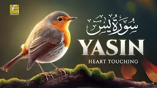 Relax Your Heart & Sleep Peacefully | Ultimate RELAXING Quran to Ease Your Soul | Zikrullah TV