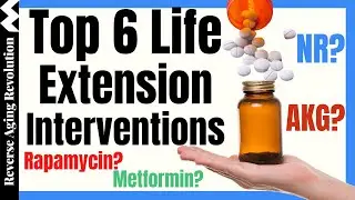 TOP 6 LIFE Extension Interventions In Science Studies | Dr Matt Kaeberlein Interview Clips
