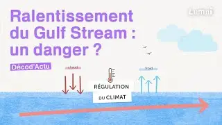 Ralentissement du Gulf Stream, un danger ? D&eacute;cod'Actu | Lumni