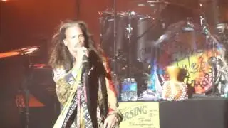 Steven Tyler 