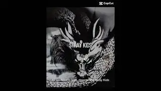 Stray Kids DIVINE MV #mv #divine #edit #trending #kpop #foryou #straykids #kpopskz #kpopidols #skz