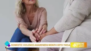 YWCA Metro St. Louis: Breaking Barriers to Domestic Violence Safety