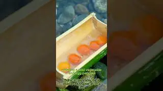 Outdoor Cooking with Bamboo | Traditional Food Preparation in Nature