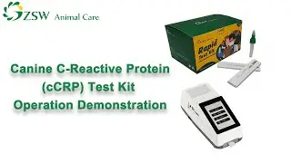 〖cCRP Test〗Canine C-Reactive Protein(cCRP) Test Kit Operation Demonstration