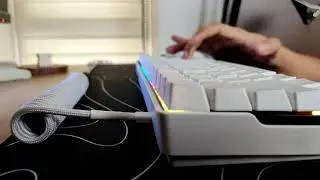 Backyardigans Castaways Remix TikTok - Durock Koala Switch Sound Test Mechanical Keyboard Meme ASMR
