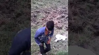 Faij khan chaurikotiya
