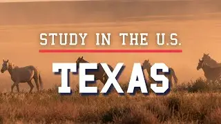 Is studying in Texas worth it?