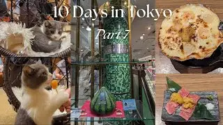 10 Days in Tokyo - Part 7 | Mocha Cat Cafe | Game Taito Station | Unigoya Shibuya Izakaya