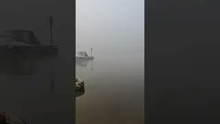 Туманное утро на Оке #fishing #river #ока