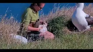 Albatrosí miminko🌞