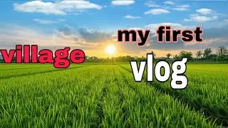 Viral #viralvideo #village Vlog #likeandsubscribe #my first #vlog#viral#song #tringding #song#❤️sub#
