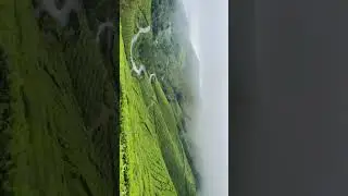 Munnar #trip #love #travelblog #mysore #kerala #alappuzha #ooty #munnar #beach #beachvibes #boating