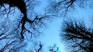 Walking around Ashton Court