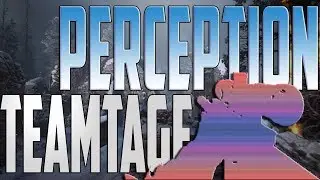 PERCEPTION TEAMTAGE