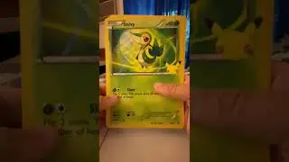 Pok&eacute;mon TCG First Partner Binder and Pack Openings!