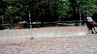 DSCF0009[1].AVI