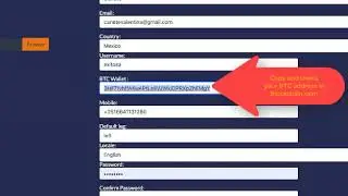 Instant payment Paybit Club     페이비트클럽 / 비트코인