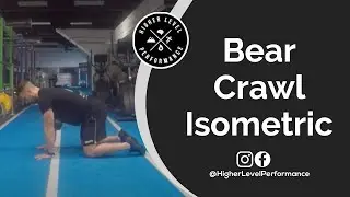 Bear Crawl Isometric