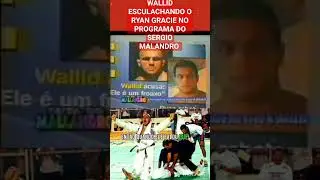 Wallid Ismail esculachando o Ryan Gracie ao vivo no programa do S&eacute;rgio MALANDRO.#treta #ryangracie