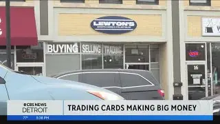 Taking a trip to Lewton's Sports Cards and Collectibles in Clawson​