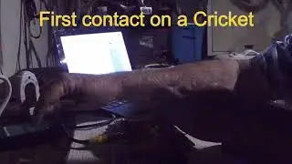 1st contact on 4SQRP&rsquo;s 80 meter &lsquo;Cricket&rsquo;