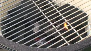 Big Green Egg Getting Started