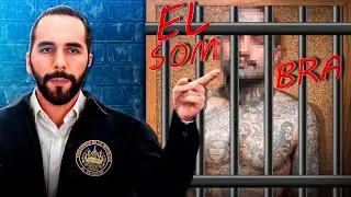 🚨 BUKELE Ordena OPERATIVO MASIVO | 116 con 