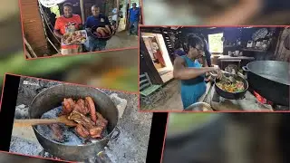 Un patimongo en nuestro fogon