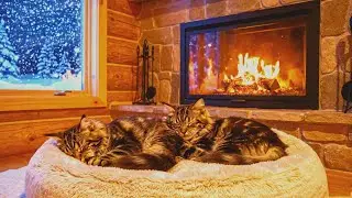 🔥 Feel Instantly Calm Cat Purring & Fireplace Sounds Cozy Living Room for Deep Sleep 😴