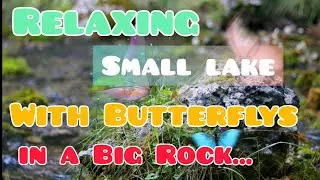 Relaxing Small Lake with Butterfly's in a Big Rock.EdLaXer
