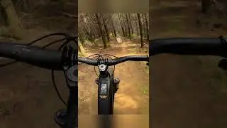 Тестирование VELDURO ROGUE в Вудхилле, Новая Зеландия #emtb #woodhill