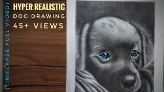 Hyper realistic dog drawing 🐶 #drawing #hyperrealistic #howtodraw #timelapse #graphitework #artwork