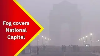 A layer of fog covered Delhi as the city records a minimum temperature of 10.8 degrees Celsius....