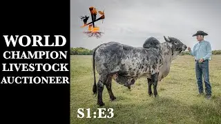 World Auctioneer Champion - Blaine Lotz - The GRAAW Life Episode 3
