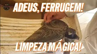 Ferrugem em Ferramentas? Remova com Esse Gel Caseiro (Receita F&aacute;cil!)