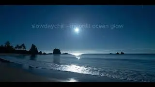 slowdaychill &mdash; moonlight beach vibes