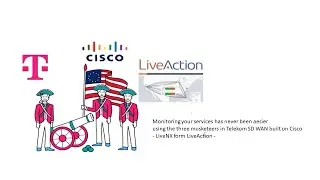 CoManagement - Telekom SDWAN Cisco    -   Optimize your network and monitor your performance