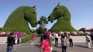 Dubai Miracle Garden | Airplane made of flowers Emirates | Flower garden