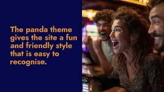 Panda Bingo Review - Dragonfish Network, Community Rooms, and more