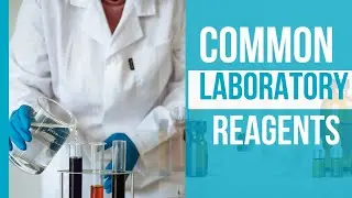 Idara: Introduction to Common Laboratory Reagents #2022introduction #howto #howtousereagents