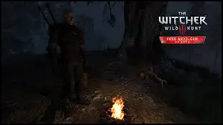 The Witcher 3 