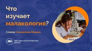 Что изучает малакология? Моллюски и мягкотелые. Лекция №2. Заочная зоологическая школа.