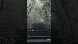 Hidden Place In KTDC Ponmudi | Trivandrum #travel #trivandrumvlog #dailyvlogs