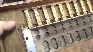 ACORDEON DALLAPÊ E NOVO CONTATO !!!